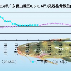 �S��~�܈�(b��o)���~�r(ji��)���o(w��)����(d��ng)  ���Ѓr(ji��)��څ��ƽ��(w��n)