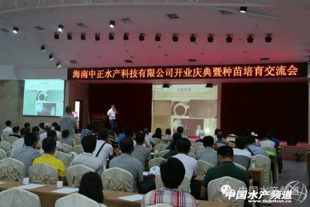 ������1100���H�r��Ͷ�a ���粼�cȫ��չ�_