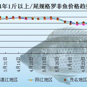 �_���~�܈����_�L���Ӱ�  �~�r���з����Нq