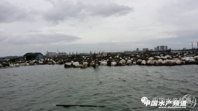 ����ˮ�~���]  �����B����Ͷ�r��