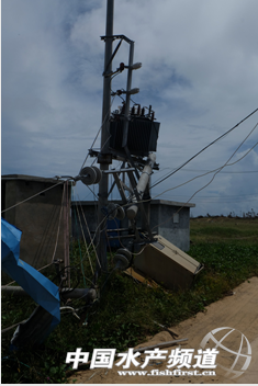 �_�L�ݚ������r��һ��a��