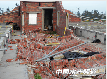 �����r���w�r�������������������������