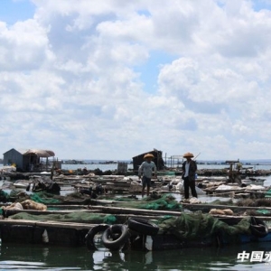 ���K��r����0.1Ԫ/β  ���r����ͮaȱ����