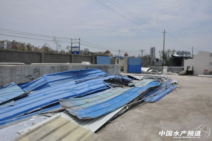 �J�������ȱС��Ӱ�����Ӳ�� ���r������