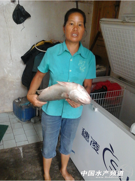 �V�����T���ܞĝO����͵�� �B���r���ܿև�