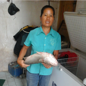 �V�����T���ܞĝO����͵�� �B���r���ܿև�