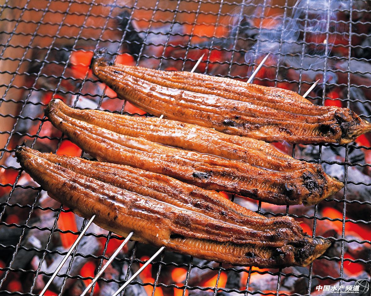 �Ї�����������ý�o���^����