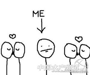 �@����Ϧ��ˮ�a��ע��������NO��