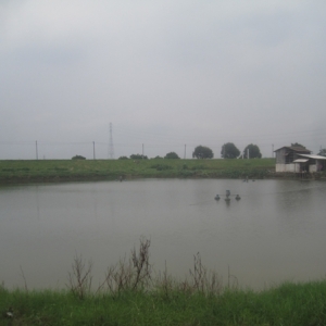 ���Ə������������|�~�N����һ��