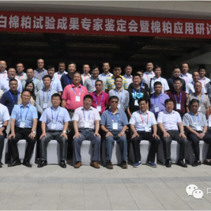 �ߵ������ɡ������������ԭ�ϣ�