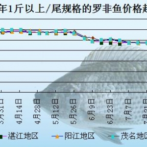 �_���~�܈󣺲������p�a  �����~�r������