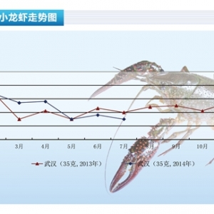 С���r��7�r���½�������ˮ�a(ch��n)ǰ�ء�2014��8�¿��Ј�څ��