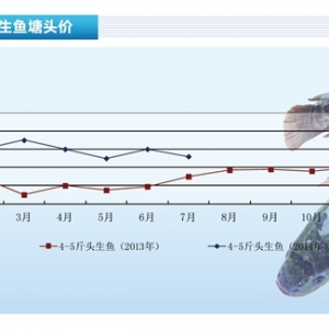 ���~���~�r�»�����N���N������ˮ�aǰ�ء�2014��8�¿��Ј�څ��