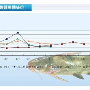 �S��~��8�r��څƽ��������ˮ�aǰ�ء�2014��8�¿��Ј�څ��