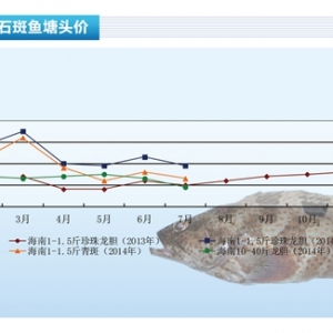 ʯ���~��7�³��~�r�񷀶�������ˮ�aǰ�ء�2014��8�¿��Ј�څ��