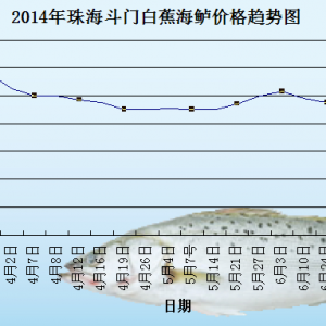 2014��8��13�պ��|�܈�����������  �Ј����阷�^