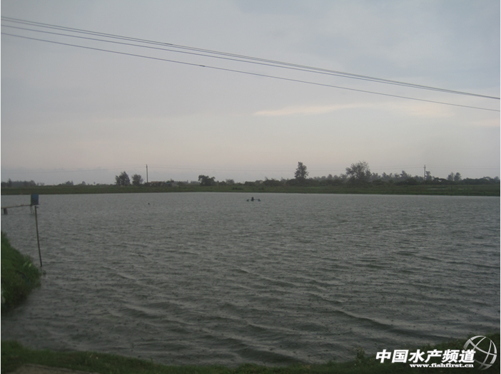 ��ˮ��ΰ��������_���~�����Ԕ�Ѫ�Y����һ��