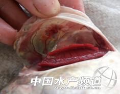 �_���~���������ķ��������μ��BֳҎ����Ӱ�