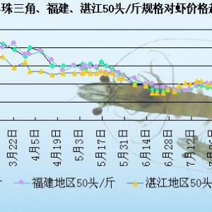 ���r��߅�r�������r�r��(w��n)������  ���ڃȃr��׃������