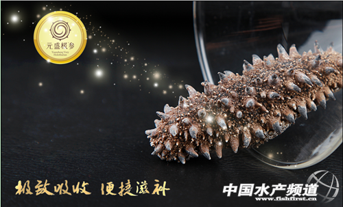 ��ԭ�����죩Ԫʢ�O�����ĮaƷ�аl�_ʼ�ĠI�N�ƏV