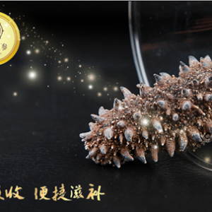 ��ԭ�����죩Ԫʢ�O�����Įa(ch��n)Ʒ�аl(f��)�_ʼ�ĠI�N�ƏV