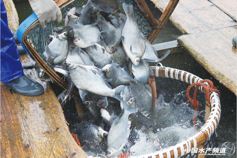 ���K��Ҫ��ˮ�~�Bֳ�Ј��΄ݷ���