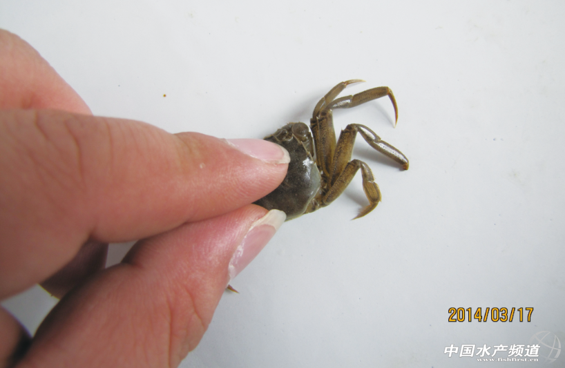 һ����з��֫�����\�����