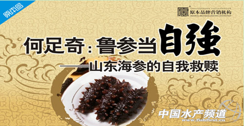 �����棺�������ԏ�����ɽ�|���������Ҿ��H