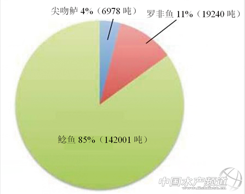 �W���_���~�c�����M���~�g���^��