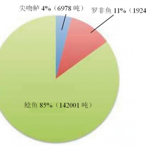 �W���_���~�c�����M(j��n)���~�g���^��