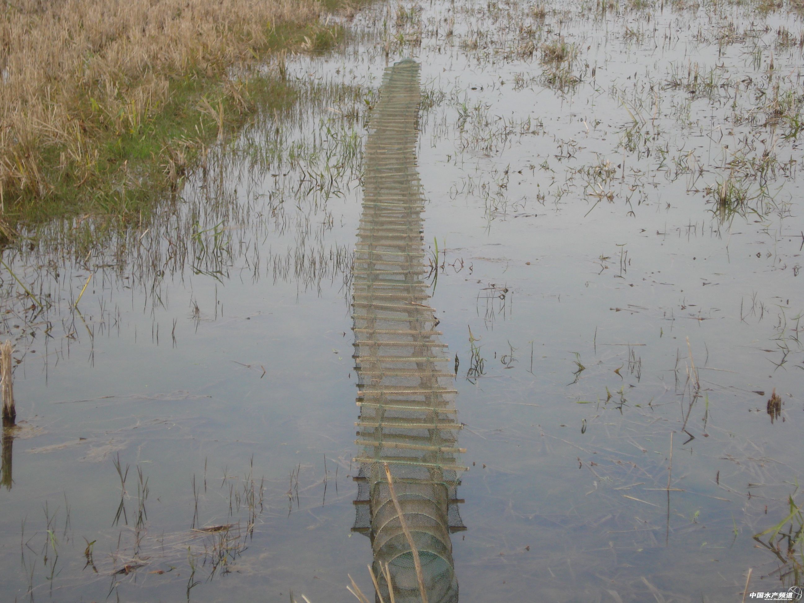 С���r���r���������Bֳ���g