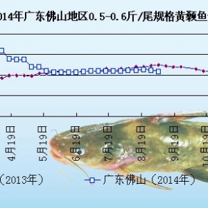 �S��~�܈󣺏V�|�~�r�µ�  ����څ�ڵ���