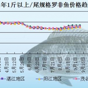 �_���~�܈󣺹�(ji��)���Ј��N�����Խ�