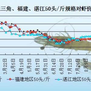 ���r��߅�r�������r�٣���(ji��)��r��o׃��