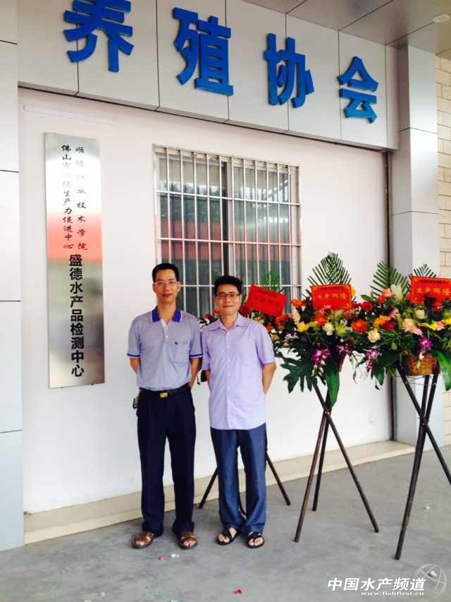 혵����~���F�a�ؙz�y Ҏ������혵�Ʒ��