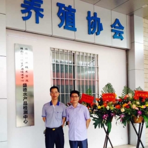 혵����~���F�a�ؙz�y Ҏ������혵�Ʒ��