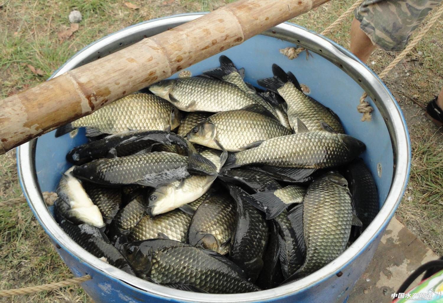 ͨ�������������ƏV�|�a�~���B�ϵK