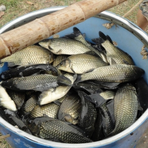 ͨ�������������ƏV�|�a�~���B�ϵK