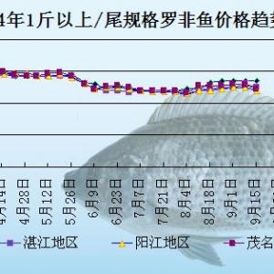 �_���~�܈��ܳ��~�����_�L(f��ng)Ӱ� �~�r�����»�