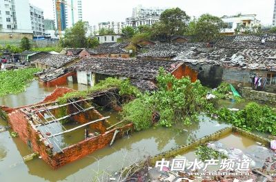 �����t���­�����597�f���ܞ� ���ϝO�I�pʧ6.5�|