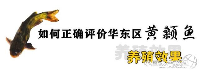 ������_�u�r�A�|�؅^�S��~�BֳЧ����