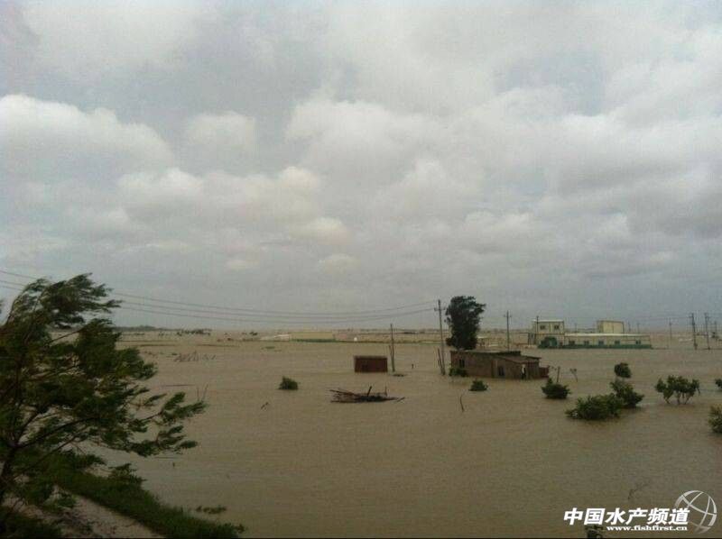 �B���������� �y�������t��һ��ŭ�Q