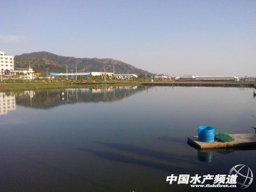 ���ǵ؅^�����׌��r�Bֳ�Ј��F���c����