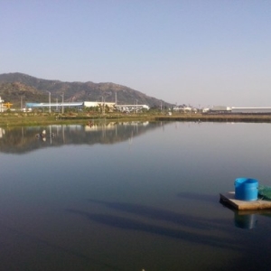 ���ǵ؅^�����׌��r�Bֳ�Ј��F���c����