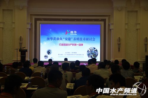 ���A�������S�ǰ������Խ�Q���S���~�����}