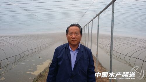 �Ϻ��B�r���ָ����w�������B�r���a2000��