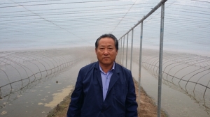 �Ϻ��B�r���ָ����w�������B�r���a2000��