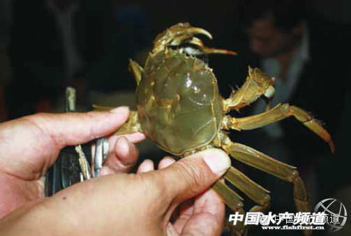 ���K���lз�Bֳ�Ј��śr���ϣ�