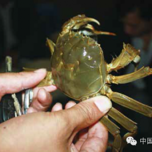 ���K���lз�Bֳ�Ј��śr���ϣ�