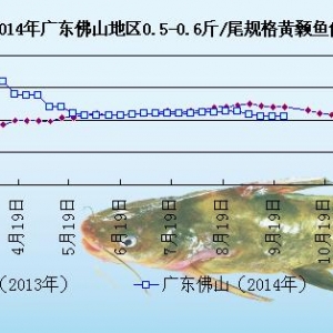 �S��~�܈󣺏V�|�~�rƽ��  �����~�r���S�֬F��